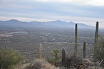 photo thumbnail #7