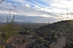 photo thumbnail #8