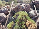 2024-11-26 :3: Peak 6444 - High and Lonesome :: DixieFlyer