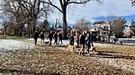 photo thumbnail #2