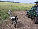 photo thumbnail #12