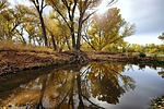 photo thumbnail #7