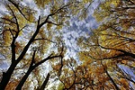 photo thumbnail #15