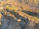 photo thumbnail #3