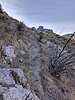2024-11-29 :1: Buster Canyon Loop - Tucson :: BubbaJuice