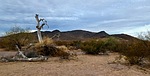 photo thumbnail #10