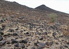 photo thumbnail #11