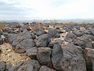 photo thumbnail #14