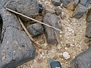 photo thumbnail #15