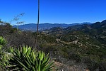 photo thumbnail #10