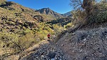 photo thumbnail #6