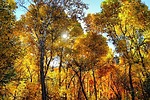 photo thumbnail #8