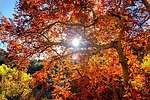photo thumbnail #9