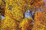 photo thumbnail #10