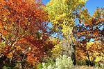photo thumbnail #12