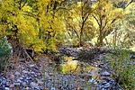 photo thumbnail #14