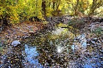 photo thumbnail #15