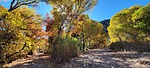 photo thumbnail #15