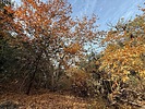 photo thumbnail #9