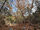 photo thumbnail #11