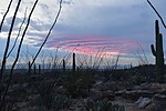 photo thumbnail #4