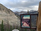 recent photo