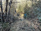 photo thumbnail #3