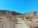 photo thumbnail #3