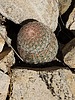 photo thumbnail #13
