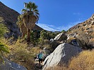 photo thumbnail #6