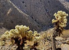 photo thumbnail #11