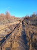photo thumbnail #1