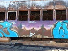 photo thumbnail #13