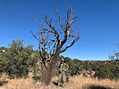 photo thumbnail #11