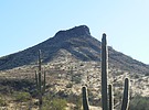 photo thumbnail #10
