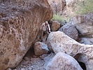 photo thumbnail #7