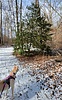 photo thumbnail #2