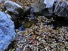 photo thumbnail #14