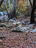 photo thumbnail #11
