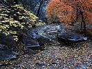 photo thumbnail #8