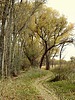 photo thumbnail #14