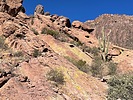 photo thumbnail #2