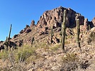 photo thumbnail #4