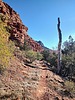 photo thumbnail #6