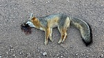photo thumbnail #15
