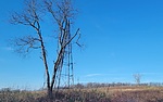 photo thumbnail #3