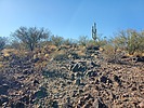 photo thumbnail #9