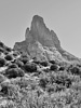 photo thumbnail #11