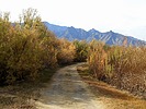 photo thumbnail #3