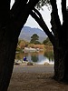 photo thumbnail #12